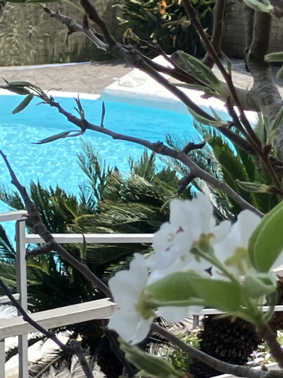 Image No.52-4 Bed Villa / Detached for sale