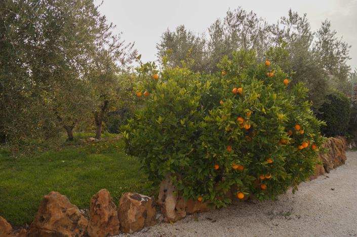 Image No.23-5 Bed Villa for sale