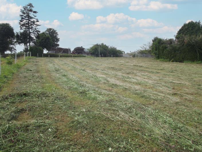 Image No.6-Propriété de pays de 2 chambres à vendre à Désertines