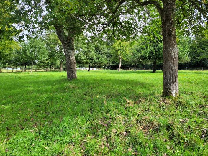 Image No.3-2 Bed Cottage for sale