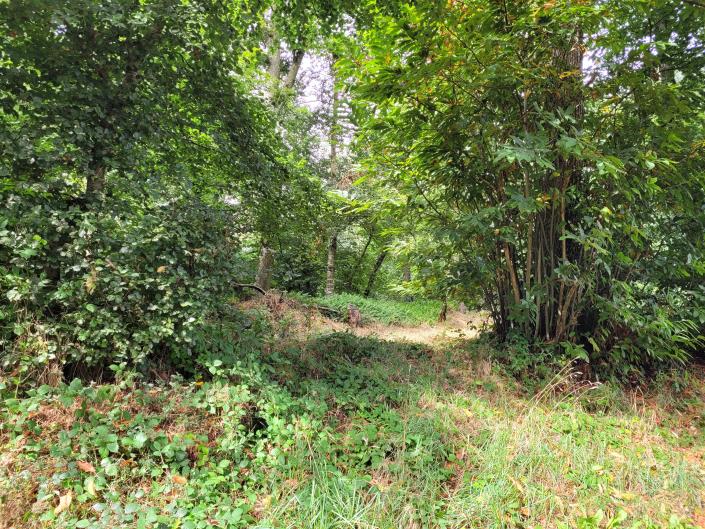 Image No.18-2 Bed Cottage for sale