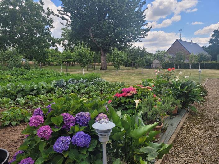 Image No.5-7 Bed Country House for sale