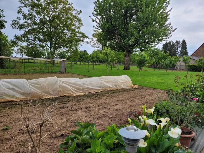 Image No.6-7 Bed Country House for sale