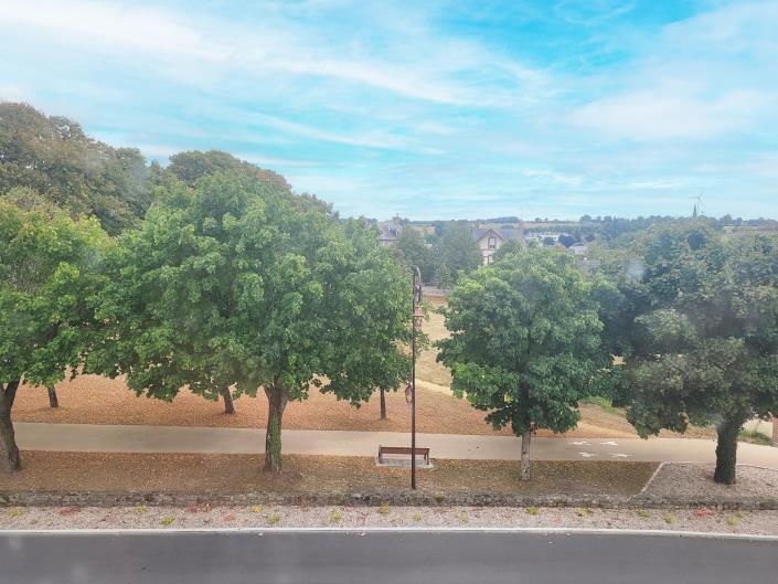 Image No.41-Châteaux de 5 chambres à vendre à Lassay-les-Châteaux