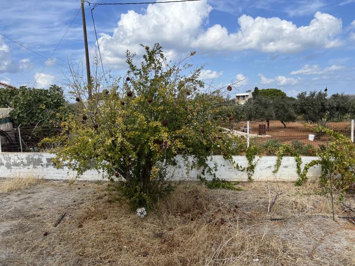 Image No.30-Maison de 2 chambres à vendre à Gouves