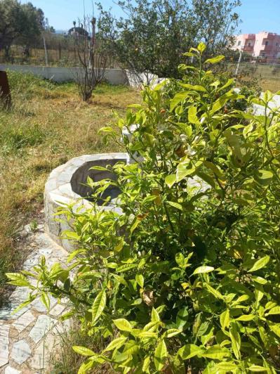 Image No.26-Maison de 2 chambres à vendre à Gouves