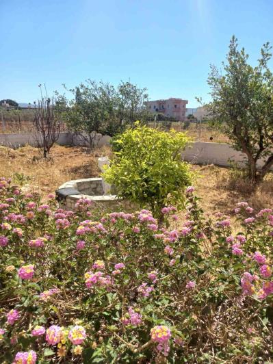 Image No.27-Maison de 2 chambres à vendre à Gouves