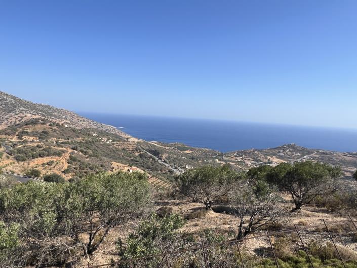 Image No.5-Terrain à vendre à Achlada