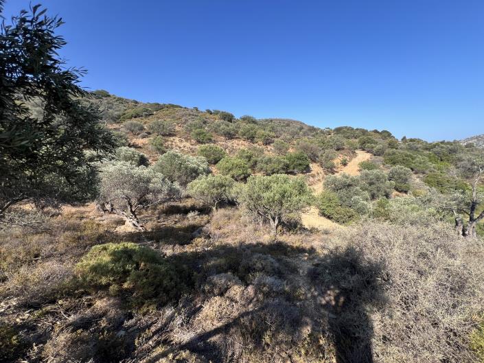 Image No.6-Terrain à vendre à Achlada