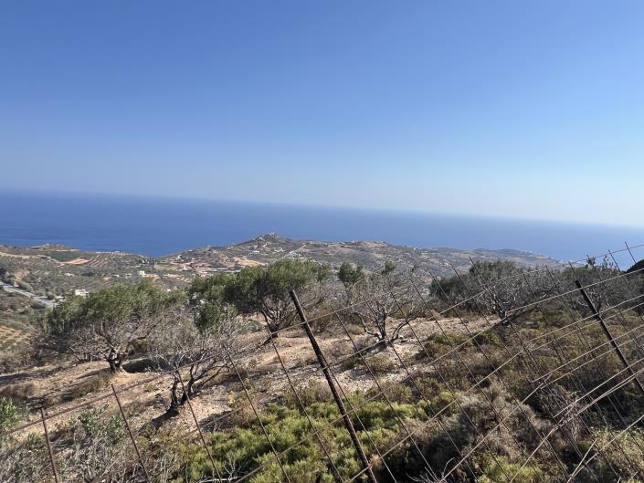 Image No.2-Terrain à vendre à Achlada