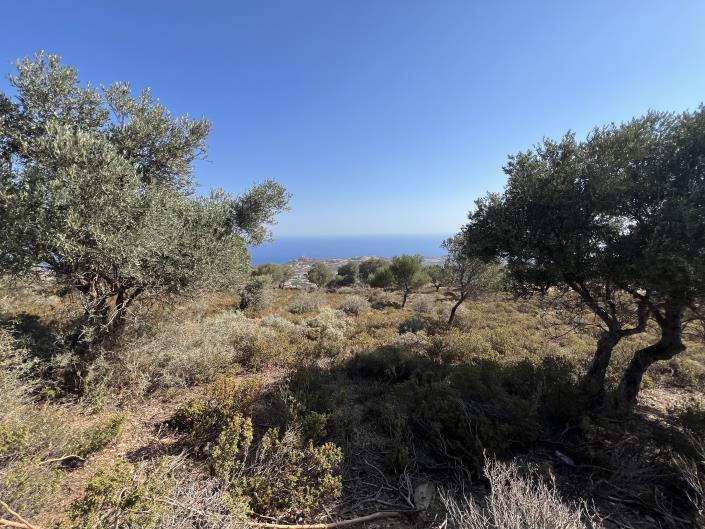 Image No.10-Terrain à vendre à Achlada