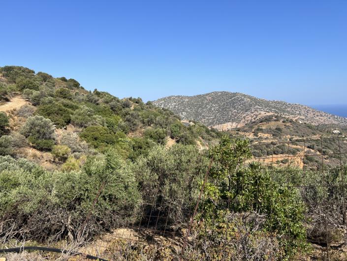 Image No.9-Terrain à vendre à Achlada