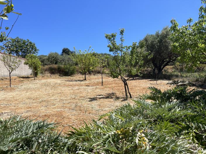 Image No.8-Plot for sale