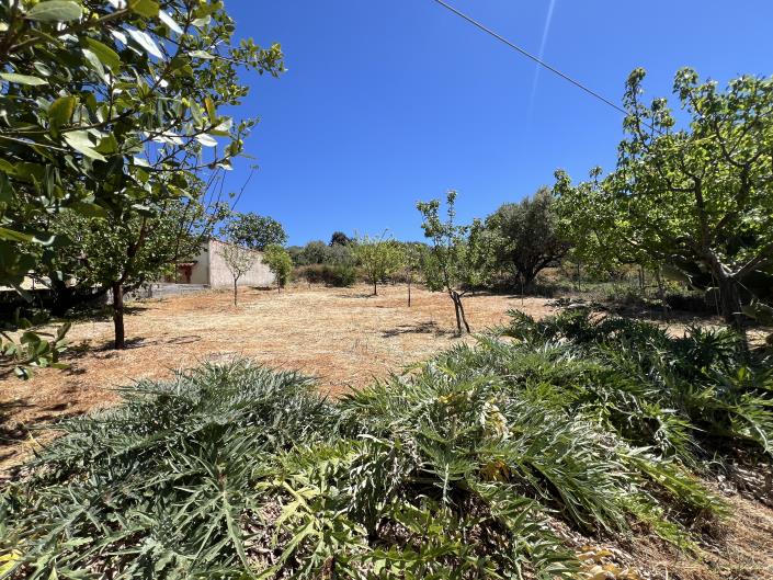 Image No.9-Plot for sale