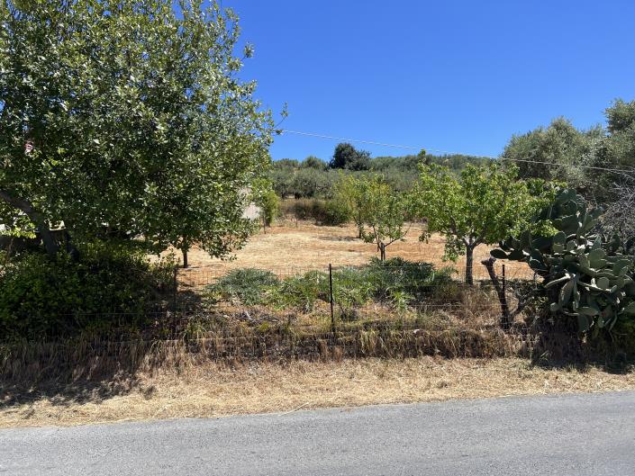 Image No.10-Plot for sale