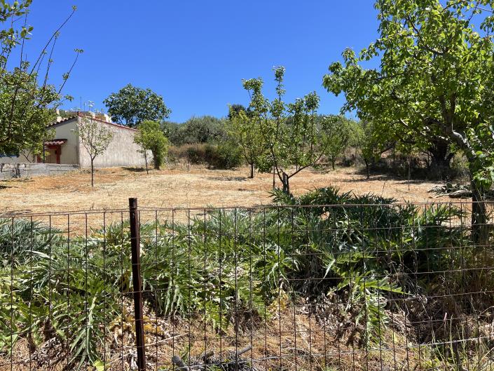 Image No.11-Plot for sale