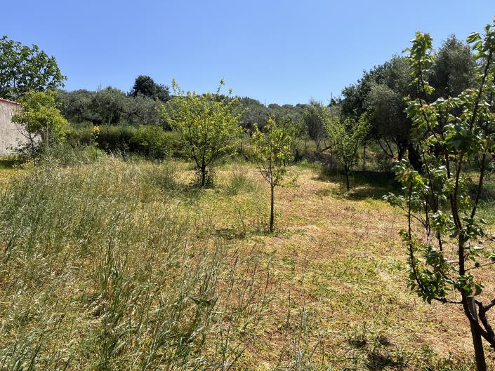 Image No.14-Plot for sale