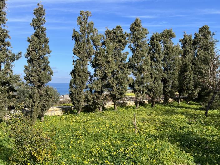 Image No.5-Villa / Détaché de 4 chambres à vendre à Heraklion town