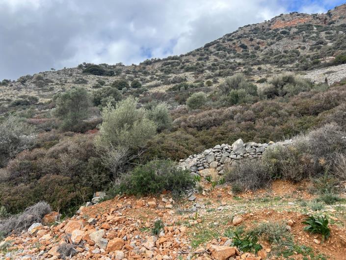 Image No.7-Terrain à vendre à Plaka