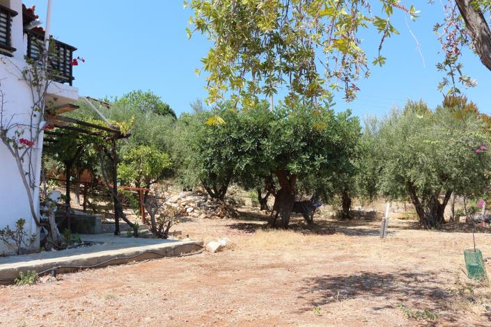 Image No.34-4 Bed House for sale