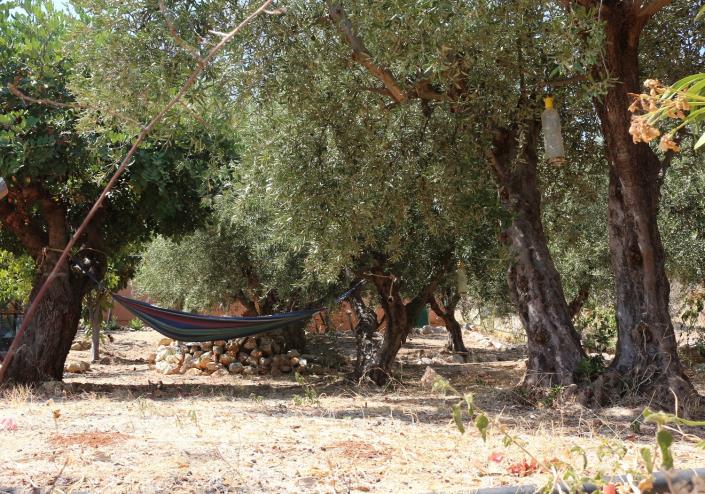 Image No.35-4 Bed House for sale