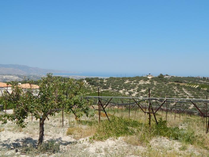 Image No.3-4 Bed House for sale