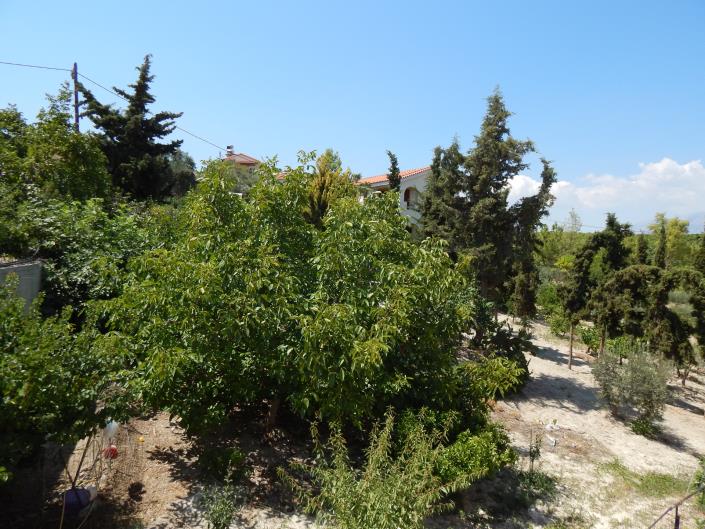 Image No.23-4 Bed House for sale