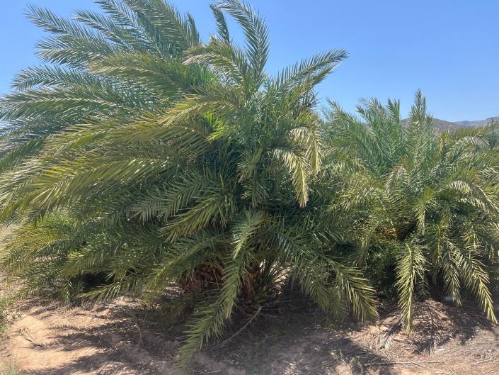 Image No.23-2 Bed House/Villa for sale