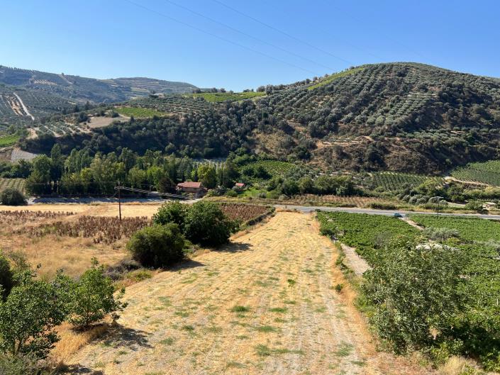 Image No.29-6 Bed Duplex for sale