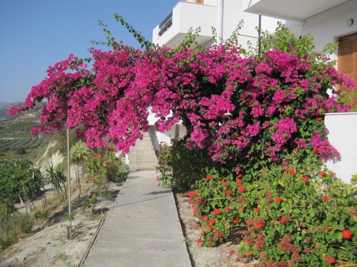 Image No.31-6 Bed Duplex for sale