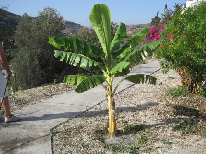 Image No.32-6 Bed Duplex for sale