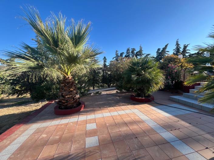 Image No.18-2 Bed House for sale