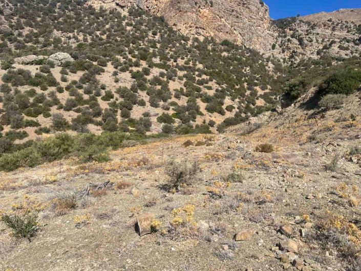 Image No.8-Terrain à vendre à Keratokampos