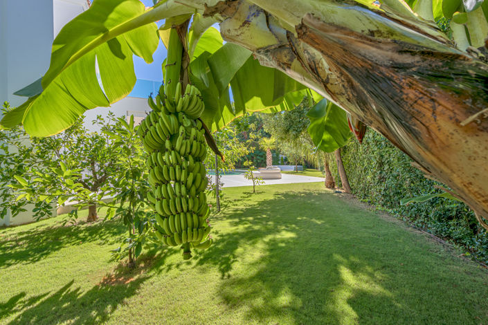 Image No.31-4 Bed Villa for sale