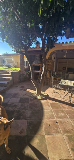 Image No.33-5 Bed Finca for sale