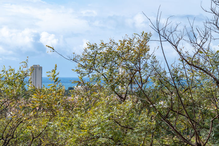 Image No.25-2 Bed Apartment for sale