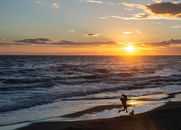 Image No.30-Maison de 2 chambres à vendre à Marbella