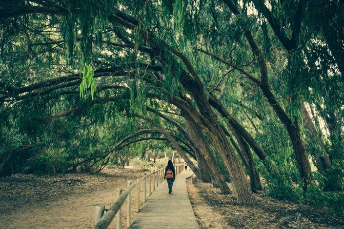 Image No.14-3 Bed Townhouse for sale