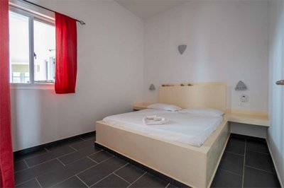 imm309-20250130180047-1280-