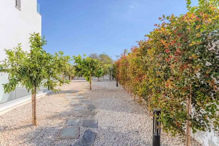 Image No.9-Maison de 4 chambres à vendre à Protaras