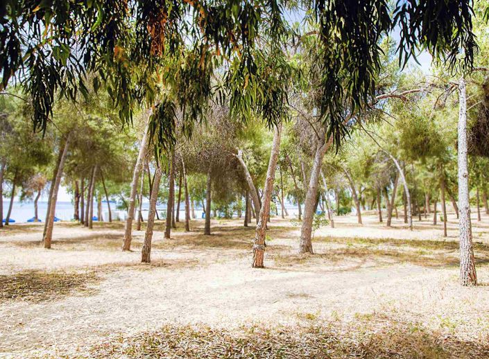 Image No.18-Appartement de 2 chambres à vendre à Limassol