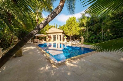 77727828-0058-4e6b-b8fb-cd48f9ddeb48