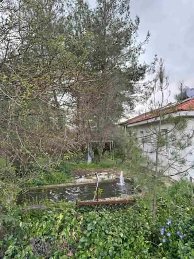 Image No.22-2 Bed Bungalow for sale