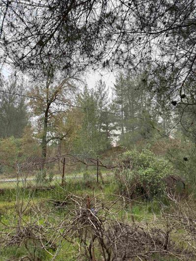 Image No.24-2 Bed Bungalow for sale