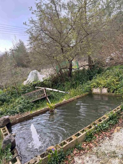 Image No.25-2 Bed Bungalow for sale