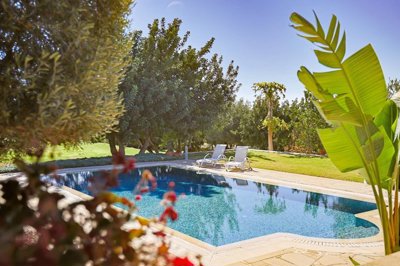 6c7e19d3-f426-41c1-bc26-f2c6d14de8a5