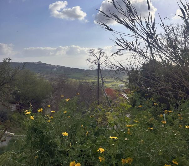 Image No.3-Land for sale