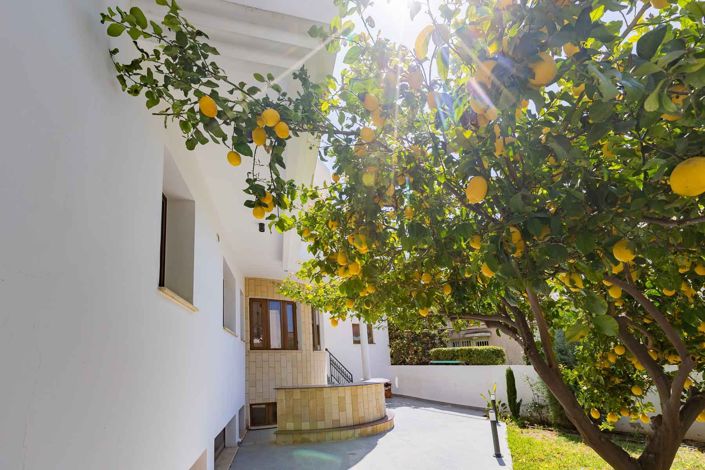 Image No.29-Maison de 6 chambres à vendre à Germasogeia