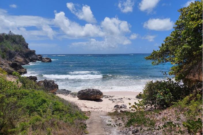 Image No.27-5 Bed House for sale