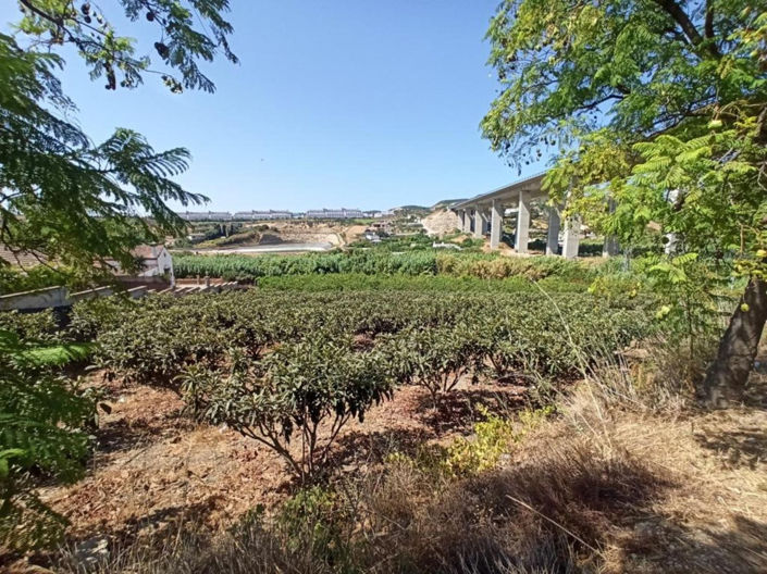 Image No.1-3 Bed Property for sale